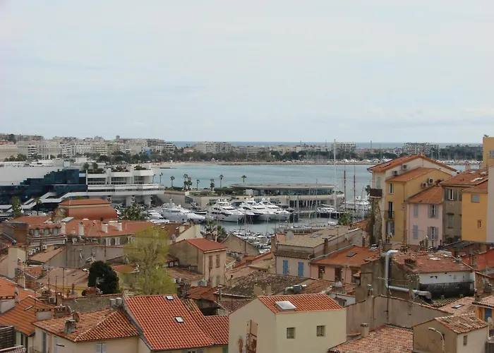 Acci Cannes Les Yuccas